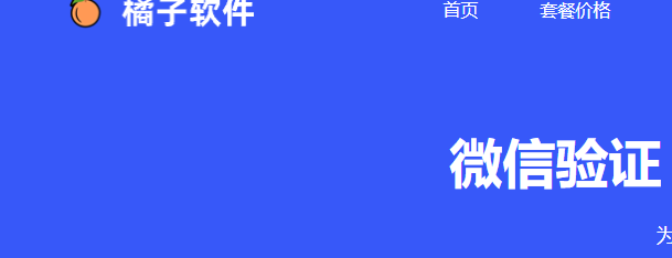 橘子软件