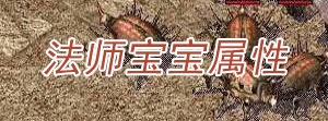 传奇法师宝宝属性表